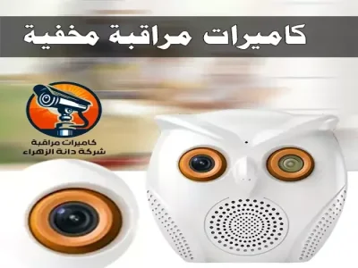 كاميرات مراقبة مخفية